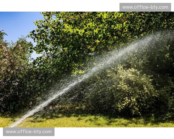 灌溉与通风系统植入临时草皮 确保两个月赛期内天然草存活状态